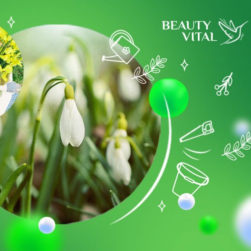 Команда BeautyVital поздравляет с праздником Весны и Труда!